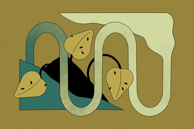 Illustration: Just what is soil carbon?