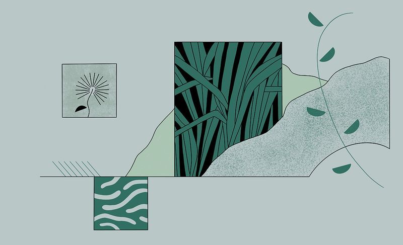 Illustration: What is land restoration?