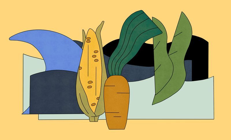 Illustration: Why does the Ogallala Aquifer need to be preserved?