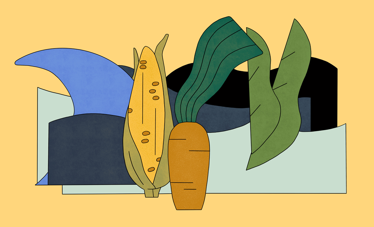 Illustration: Why does the Ogallala Aquifer need to be preserved?