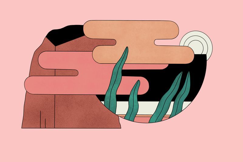 Illustration: What is a carbon sink?