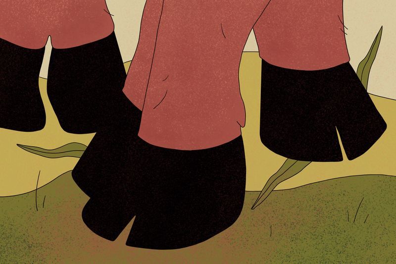 Illustration: Grazing on public lands