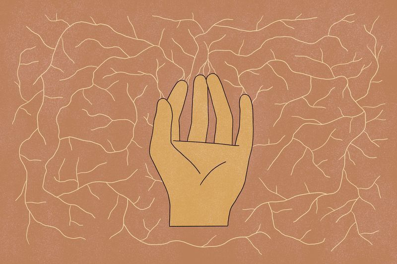 Illustration: The magic of mycelium