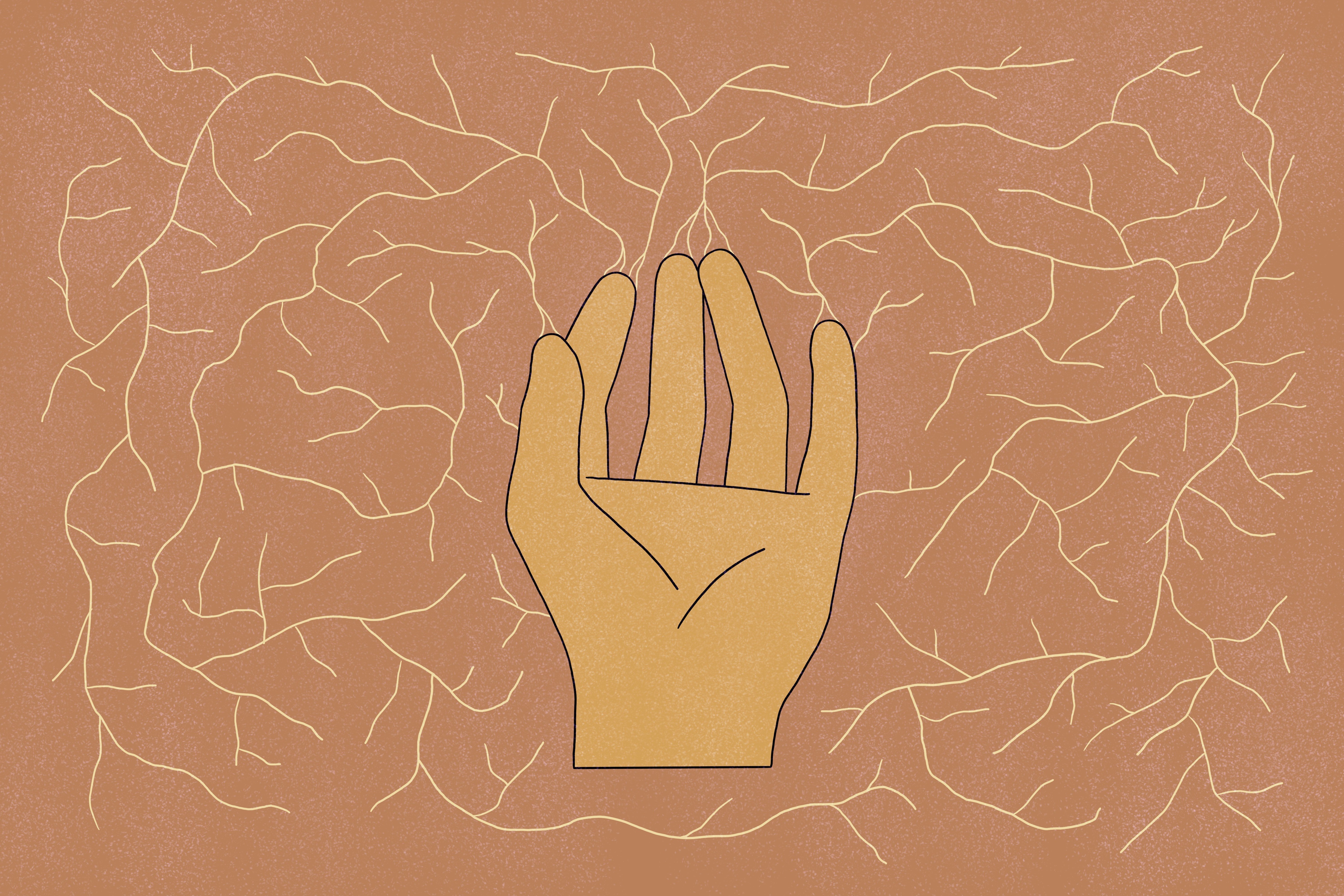 Illustration: The magic of mycelium