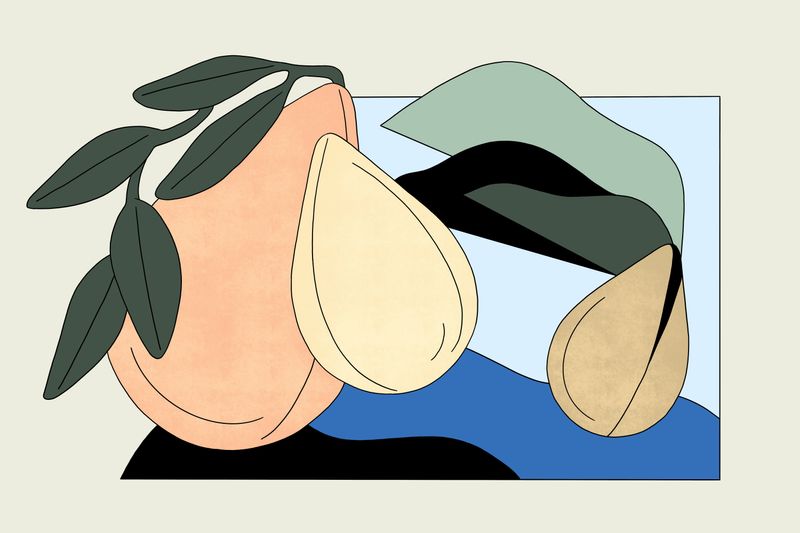 Illustration: Can reforestation really solve climate change?