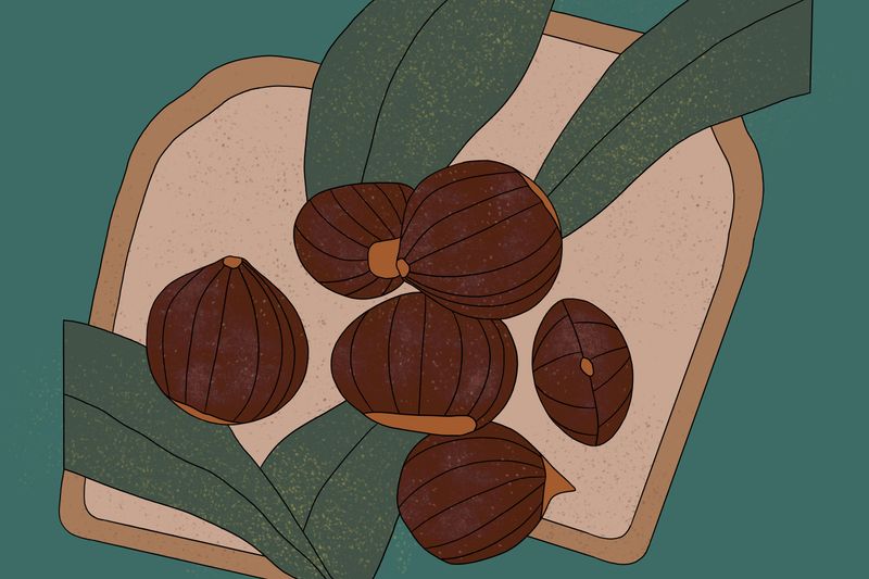 Illustration: Chestnuts for the people with Breadtree Farms